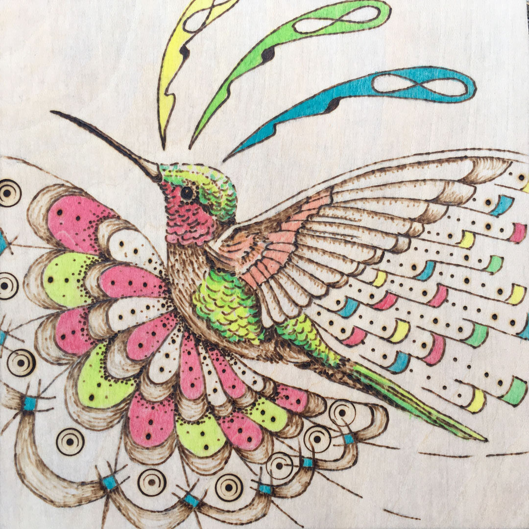 Class Icon Hummingbird